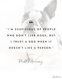 14 Dog Quotes That Totally Capture Your Relationship With Your Four Legged Friend Dog Quotes Dog Quotes Love Animal Quotes