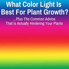 This shape has many advantages the experiments mentioned so far to determine optimum spectra for plant growth, measuring light absorption and carbon dioxide absorption, have. What Color Light Do Plants Grow Best In Grow Light Info