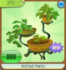 Animal jam is an online playground filled with fun and adventure for kids who love animals and the outdoors! Potted Plants Animal Jam Classic Wiki Fandom