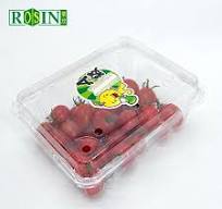 Wholesale Disposable Fruit Salad Vegetable Plastic Container ...