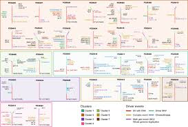 Windows 10* windows 10, 32 bits*. Genomic Landscape And Chronological Reconstruction Of Driver Events In Multiple Myeloma Nature Communications