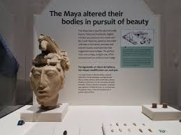 However, even mayan commoners filed their teeth and tattooed their skin. Experiencing Maya Hidden Worlds Revealed Maya Body Modifications Connecticut Science Center