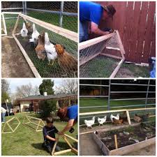 How To Make A Chicken Tunnel Homestead Survival Chicken Tunnels Chickens Backyard Chicken Diy