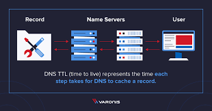 Upload, share, search and download for free. What Is Dns Ttl Best Practices Varonis