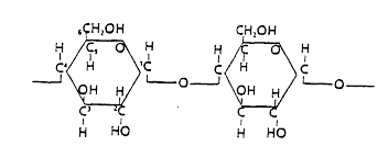 The Polymer Of Carbohydrates Is Monosaccharides Macromolecules Math Polymer