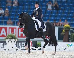 I believe we developed an exceptional saddle. Isabell Werth On Totilas Those Who Rise High Fall Deep