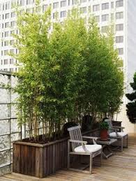 30 Garden With Bamboo Ideas Bamboo Garden Bamboo Garden