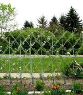 Kriesten Garten Landschaftsbau Stauden Englischer Garten Landschaftsbau