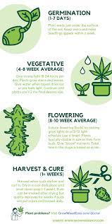 The simplest way to achieve this is through the paper towel method. How Long Does It Take To Grow Weed Indoors Grow Weed Easy