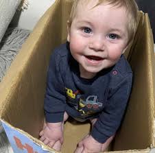 What suggestions do you have for the display and location of the whale  fossil in Karamea?