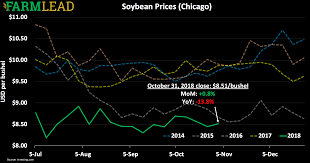 soybean prices rally into november farmlead