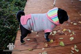 Pajamas are one piece pull over. Mops Co Hund Sweater Pulli Mit Schnittmuster In 10 Grossen Nahanleitung Welpen Bis Kraftigen Hund