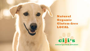Leashes, harnesses, and collars for any size or type of pup; Ciji S Natural Pet Supplies Cijis Pet Supplies