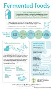 The Many Benefits Of Fermented Foods Gut Microbiota For Health
