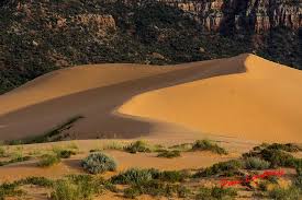 Image result for Coral Sand 1947 Kaiser