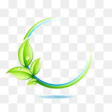Photo Frame Png Photo Frame Transparent Clipart Free Download Brown Google Images Picture F Logotipo Floral Cartao De Visita Nutricionista Cartao De Visita