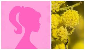 Auguri per la festa di tutte le donne che celebra i sacrifici e le battaglie in nome dell'emancipazione. Cosa Regalare Per La Festa Della Donna