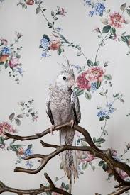 Floral Bird Beautiful Birds Cockatiel Animals