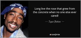 Long live the rose that grew from concrete. Tupac Shakur Quote Long Live The Rose That Grew From The Concrete When
