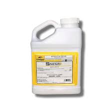 Buy Bed Bug Killer Spray Trusted By The Pros – Powerful Formula Quickly  Kills Bedbugs - Maximum Protection. Bed Bug Sniper By Ecoganic Uses The  Magic Of Nature To Rid Your Home