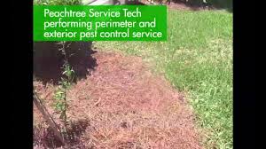 Warner robins ga exterminator, pest control & termite inspector. Peachtree Pest Control