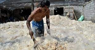 Bantal merupakan benda yang mudah dibuat dan tidak memakan biaya membuat bantal juga merupakan cara yang tepat untuk mempelajari dan melatih keterampilan dasar. Cara Mencuci Bantal Kapuk Sendiri Dan Tips Perawatannya