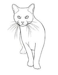 Apprendre à dessiner un chat en quelques étapes simples. Dessin Chat Facile