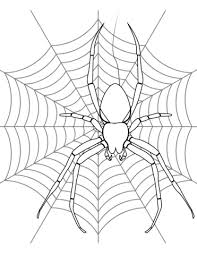 Spider On Its Web Coloring Page Spider Coloring Page Spider Web Drawing Spider Drawing