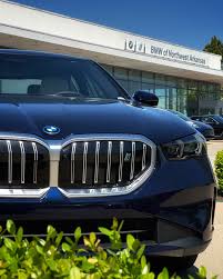 Image result for Phytonic Blue 2024 i5