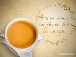 Arriver Comme Un Cheveu Sur La Soupe Arriver De Facon Incongrue Mal Adaptee A La Situation Arriver Inoppor French Vocabulary Learn French French Expressions