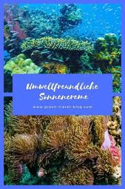 High concentrations of octocrylene in seawater could impair fatty acid metabolism in coral. Umweltfreundliche Sonnencreme Was Uv Schutz Mit Korallen Zu Tun Hat