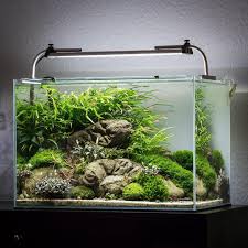 45 Nano Planted Tank Design Inspirations To Displayed At The Office Rooms And Living Room That Will Eliminate Your High Stress45 Nano Planted Tank Design Insp Aquascape Aquascape Aquarium Amazing Aquariums