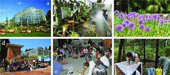 The soil should be slightly acidic for outdoor specimens. Citizen Science And Public Education A Greenhouse Of Kbg B Pitcher Download Scientific Diagram