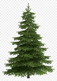 ✓ free for commercial use ✓ high quality images. Christmas Trees Transparent Pine Tree Png Png Download 859x1202 3749825 Pngfind