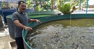 Inilah video yang menjelaskan inilah tanaman yang menghasilkan uang duapuluh juta per bulan, informasi ini kami berikan untuk. 16 Jenis Ternak Yang Paling Cepat Panen Menghasilkan Uang Menguntungkan Peluang Usaha Dan Bisnis Online