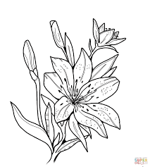 Print the high quality pdf version. Pin On Coloring2020