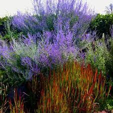Pin On Landscape Design