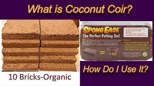 It is possible the name you are searching has less than five occurrences per year. What Is Coconut Coir And How Do I Use It To Grow Plants Tikki O