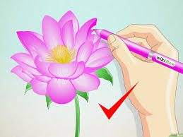 Il fiore sta alla base della riproduzione e dell'impollinazione. Come Disegnare Un Fiore Di Loto 7 Passaggi