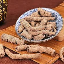 Image result for Morinda angolensis