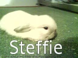 Liza & Stella Jacobson & Olsosn