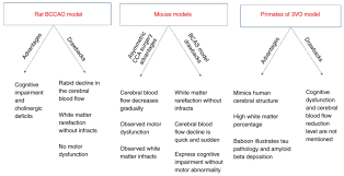Ministriesedit · mark mcgowan mla · premier · treasurer · steve thomas mlc · roger cook mla · deputy premier · minister for health minister for medical research . Experimental Models And Plant Based Therapy For Experimental Cerebral Ischemia Review