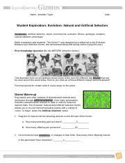 This page lists console commands. Activity B Artificial Selection Get The Gizmo Ready Select Artificial Selection Course Hero