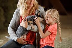 When will my puppy be a grown up? Puppy Socialization Fear Periods Nutrena