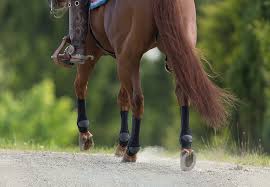 Equishopping vous propose depuis un seul et même site les marques françaises et internationales dédiées au monde équestre. La Marque Equicrown Juzo