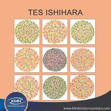 Tes buta warna angka tersulit. Tesishihara Ø¨Ø­Ø« ÙÙŠ ØªÙˆÙŠØªØ±