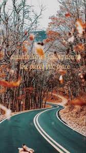 All Too Well Wallpaper Taylor Swift Lyrics Taylor Swift Wallpaper Taylor Swift Music