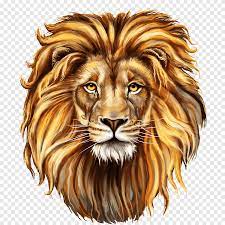 The proverbial 'king of the lions are most active at night and live in a variety of habitats but prefer grassland, savanna, dense. The Red Lion Lion Lion Illustration Mammal Face Png Pngegg