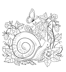 Teach your child how to identify colors and numbers and stay within the lines. Snail In The Nature Coloring Page Free Printable Coloring Pages For Kids