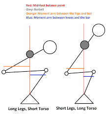 High Bar Vs Low Bar Squats For Powerlifting Short Torso Squat With Bar Long Torso